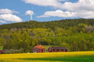Mât d'éolienne domestique près d'une maison en zone rurale