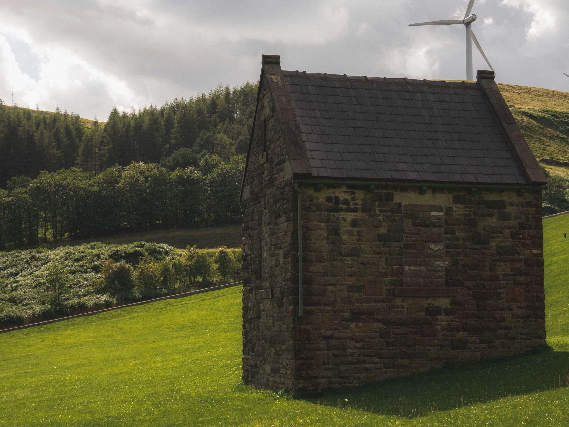 Brancher une éolienne sur une prise : règles, sécurité et rendement réel Petite éolienne domestique sur un mât dans un jardin dégagé